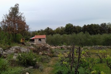 Kuća na osami Krunica, foto 12